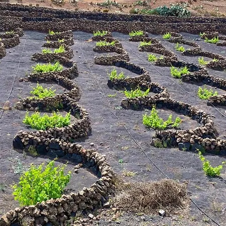 Villa Vista Del Mar - Oceanfront Luxury With Private Pool