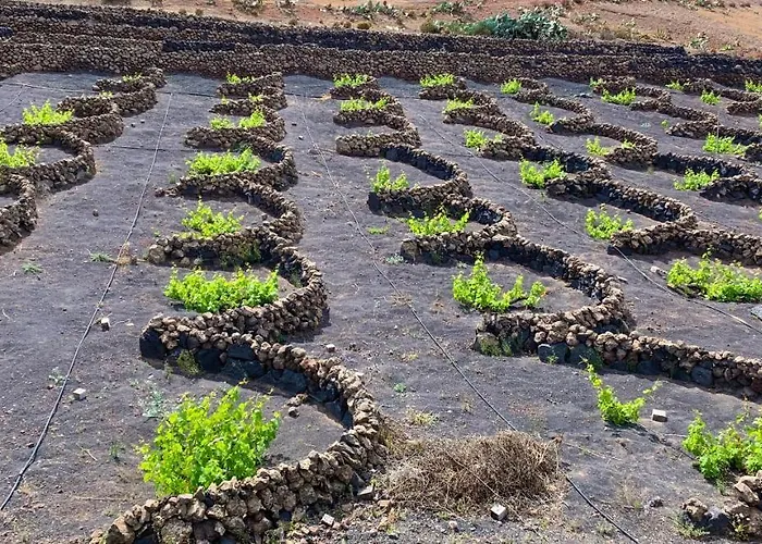 Villa Vista Del Mar - Oceanfront Luxury With Private Pool