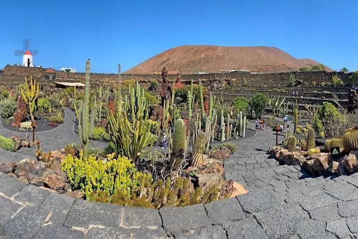 Villa Vista Del Mar - Oceanfront Luxury With Private Pool Costa Teguise